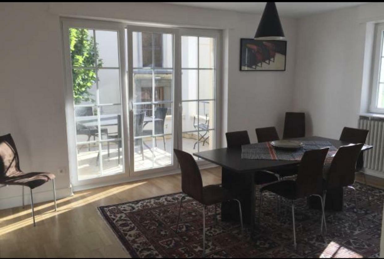 Charmant Appartement Avec Terrasse Dans Villa Strasbourg Exterior photo